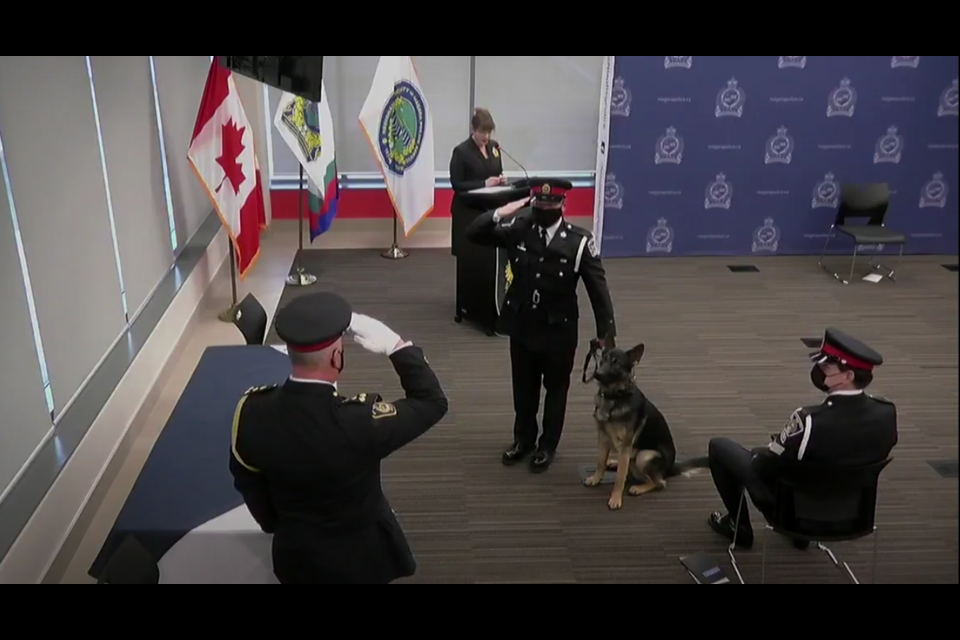 Chief MacCulloch delivers the certificate to Tim Wiley and his K9 partner Rudy. Photo: NRPS