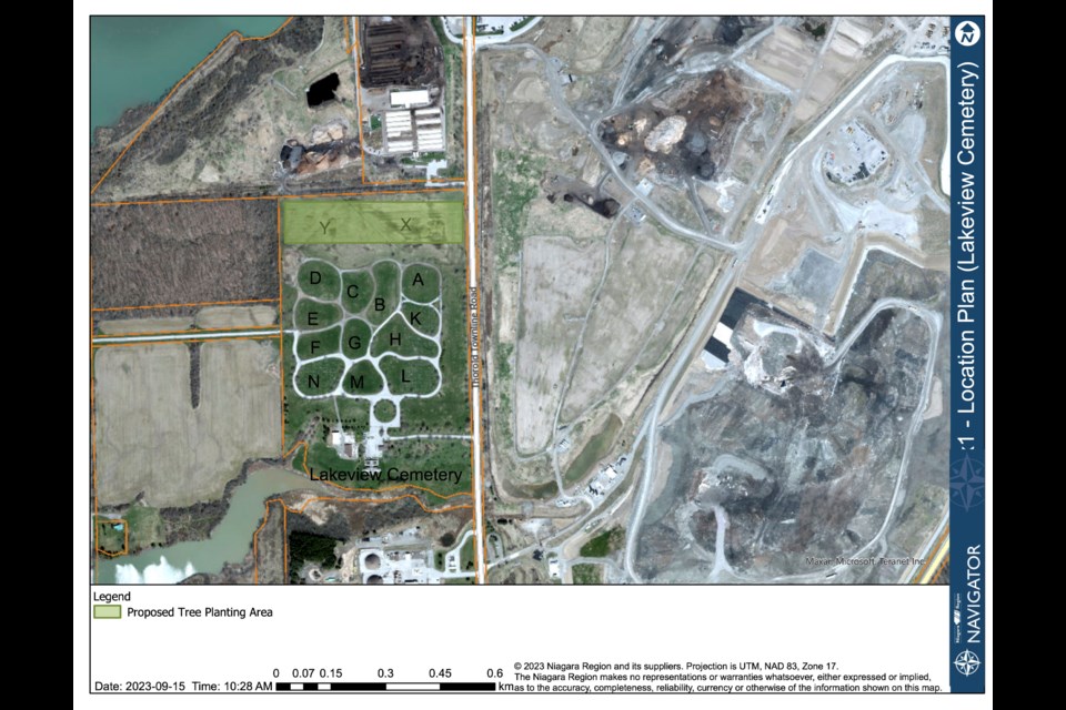 The trees will be planted in the X and Y section on this map.
