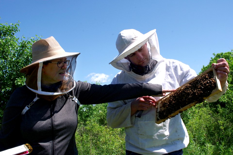 Beekeepers Ken and Shaunna MacQuarrie inspect their hives regularly. Bob Liddycoat / Thorold News