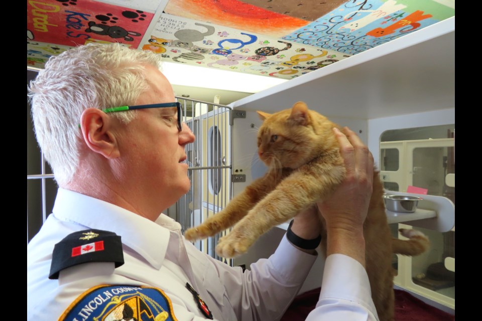 Kevin Strooband, pictured in an earlier article, and Mr. Orange the tabby. Photo: Ludvig Drevfjall, Thorold News