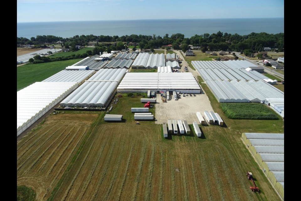 Aerial view of illegal cannabis production site. Supplied photo/OPP