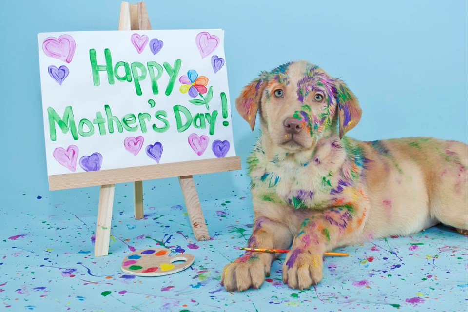 mothers-day-dog