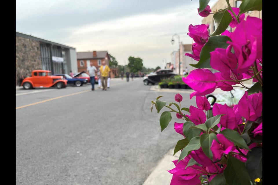 The Friday cruise nights are once again happening in Thorold this summer. 