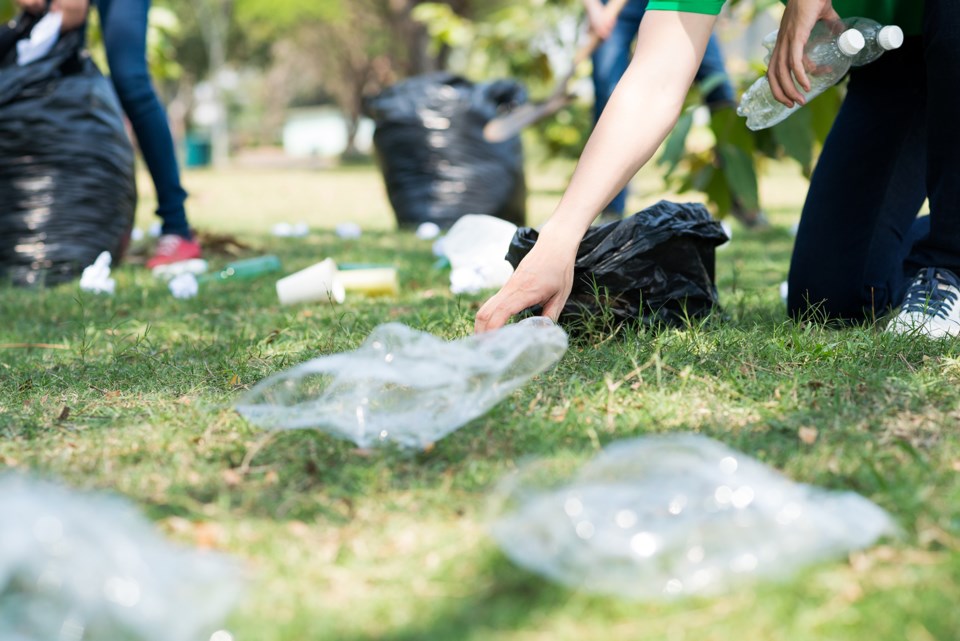 litter-pick-up