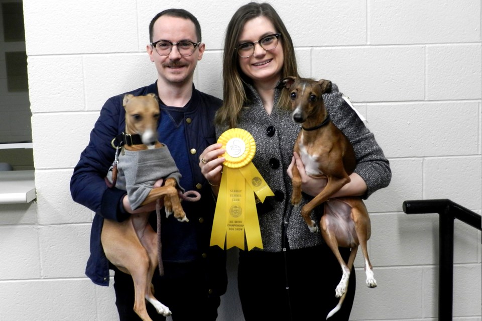 Mackenzie Drinkwater (r) from Kitchener entered her Italian greyhound, Alydar, which won a third-place ribbon at today's Dog Show in Thorold. Mackenzie’s husband Jason and Alydar’s sister, Willa, are cheerleaders when they visit various dog shows across North America. Bob Liddycoat / Thorold News