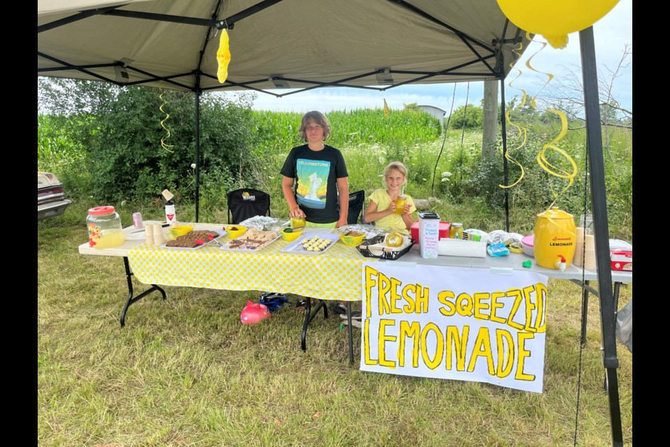 Yesterday morning, Izzy and Casey Konert set up shop on the corner of Highway 20 and Barron Road to sell lemonade and baked goods in an effort to raise money for Ronald McDonald House Charities. 