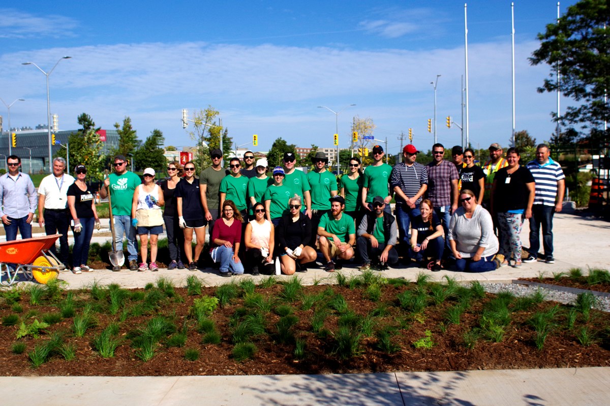 Volunteers swarm to build pollinator garden - ThoroldNews.com