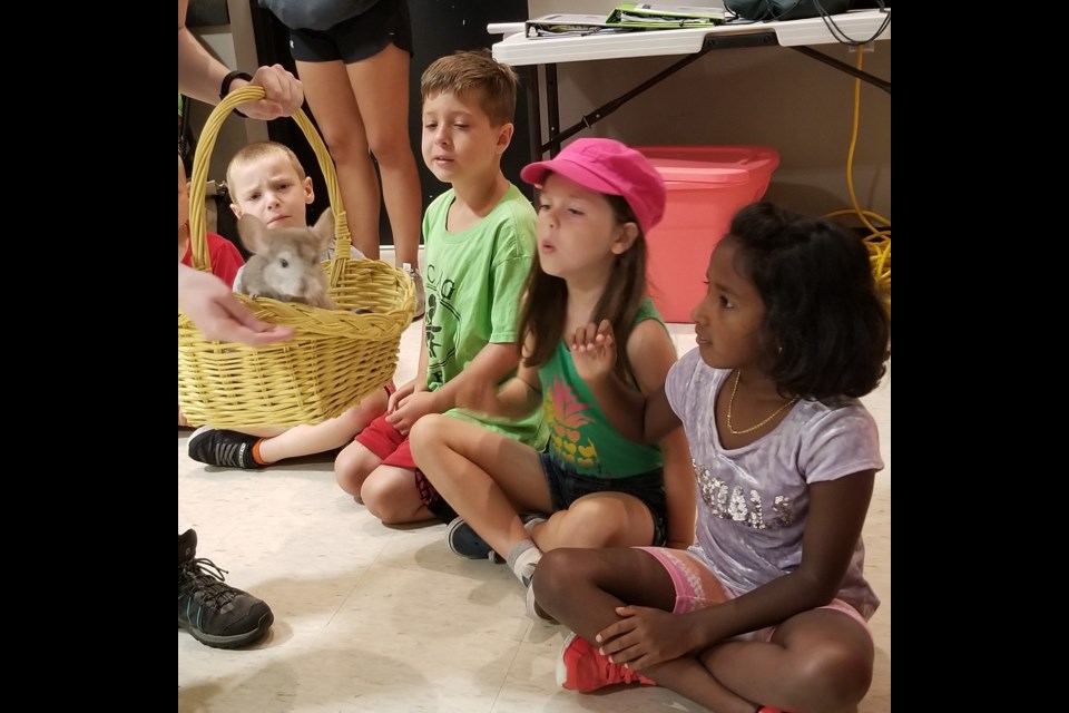 Kids at the TCAG summer camp got a visit from some exotic and not-so-exotic pets this week. 
 A Chilean chinchilla made the rounds. Submitted Photo