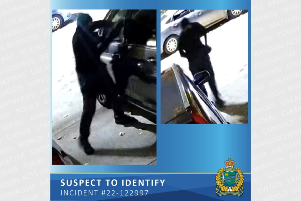 Police are looking for a suspect in connection with reports of 61 vehicles being damaged across the region.