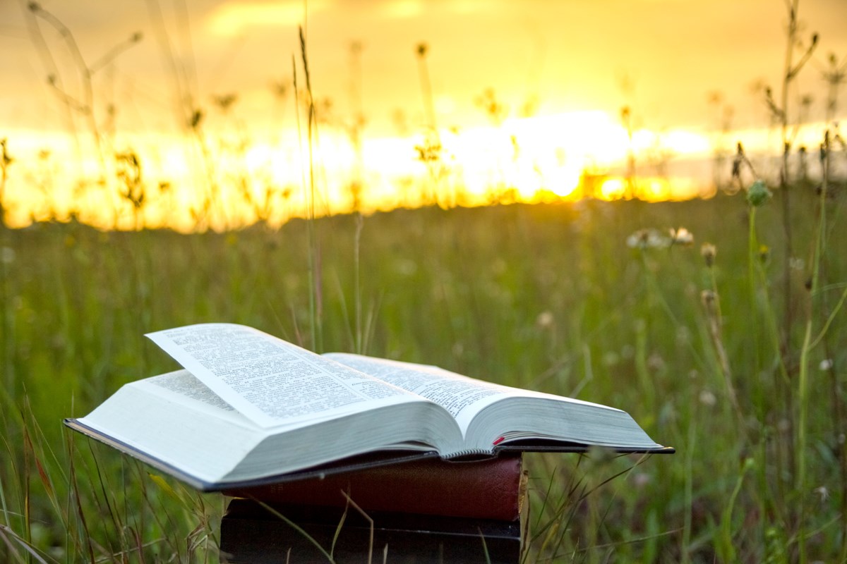 New life in spring, new life in Jesus Thorold News