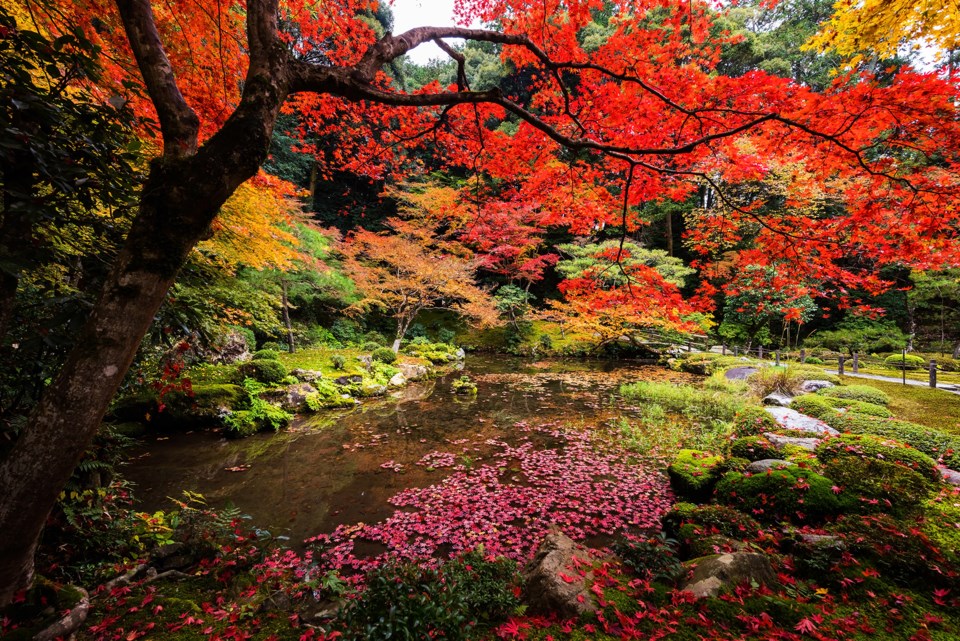 spiritual-autumn