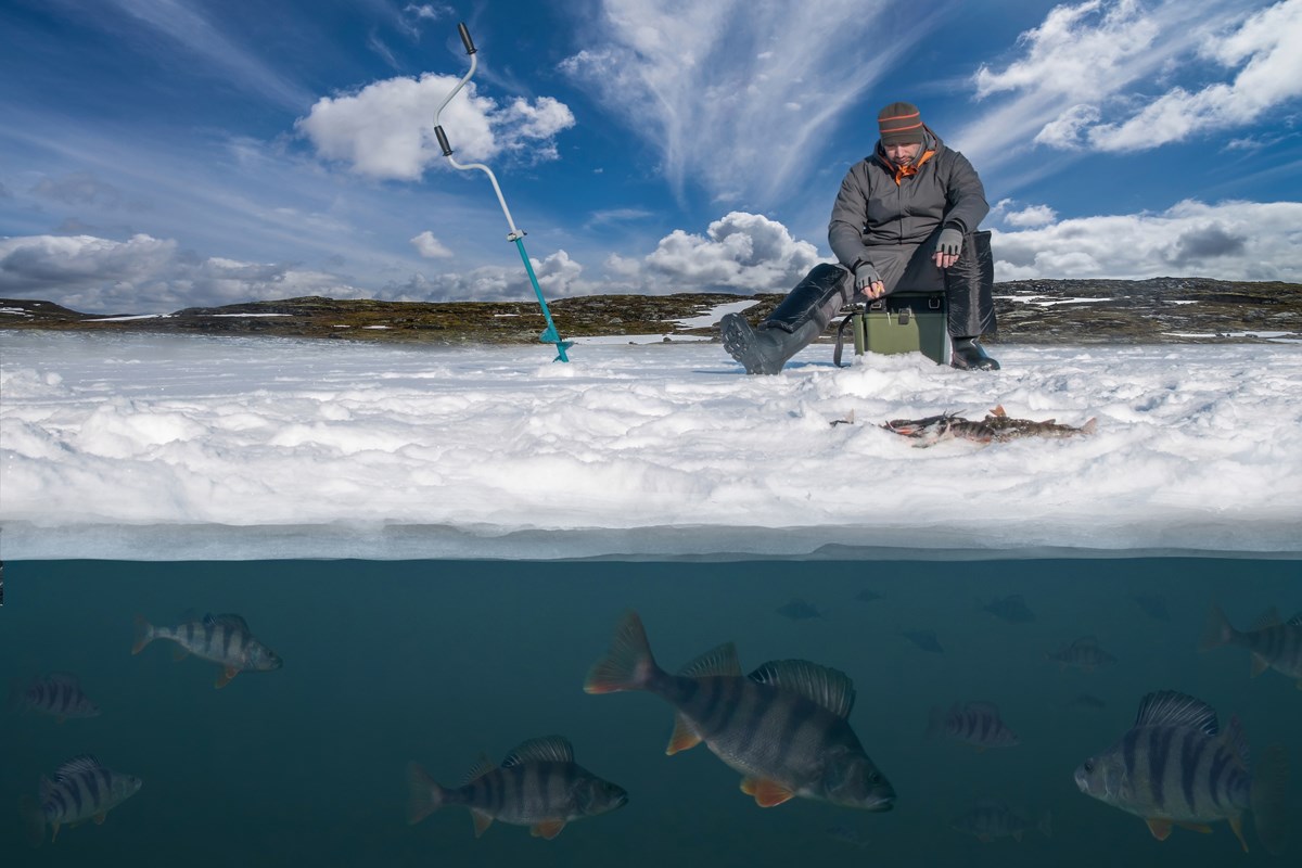 Ice Fishing under Ice