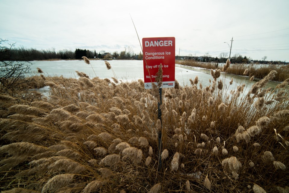 While activity on Lake Gibson is actually forbidden, anyone tempted to venture out onto its icy surface following the arctic-like temperatures visited on the region last week might want to look before leaping as a warm wind has shaved inches from its former thickness, leaving a layer of water covering the ice below. Doug Youmans for ThoroldNews