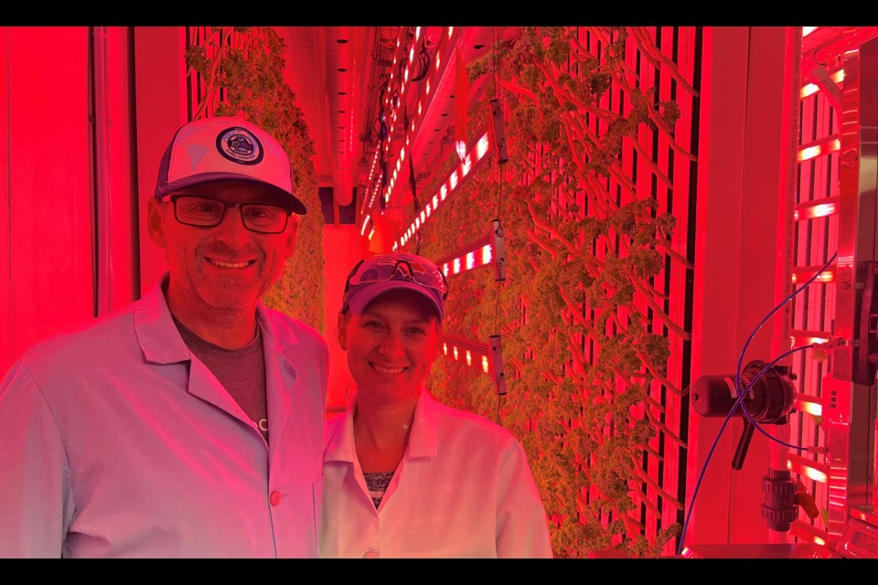 Marc and Anne Rodrigue, owners and operators of Borealis Fresh Farms, control all growing variables for their produce, including the light spectrum, with their indoor farm. They grow fresh vegetables and herbs year-round in Timmins.