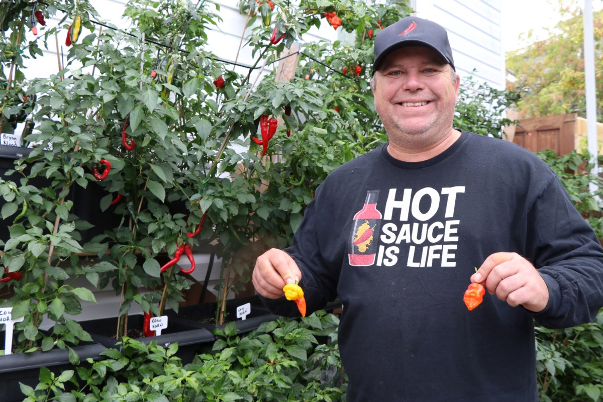 Timmins producer savoring a hot sequence with popular pepper sauces