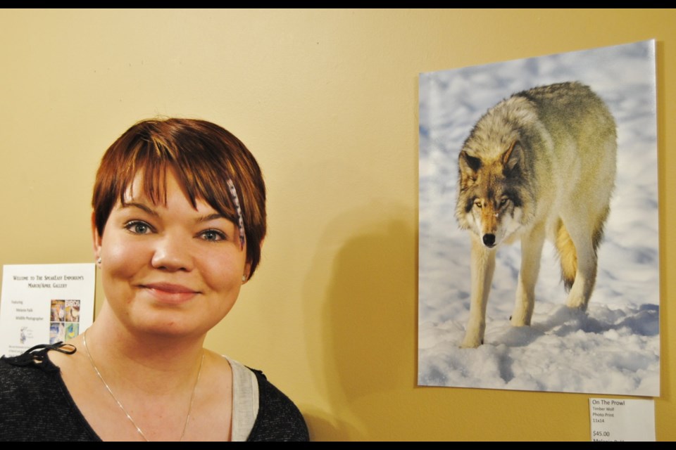 Timmins photographer Melanie Palik beside her photo of a wolf taken at Quebec's Parc Omega. Photo by Frank Giorno