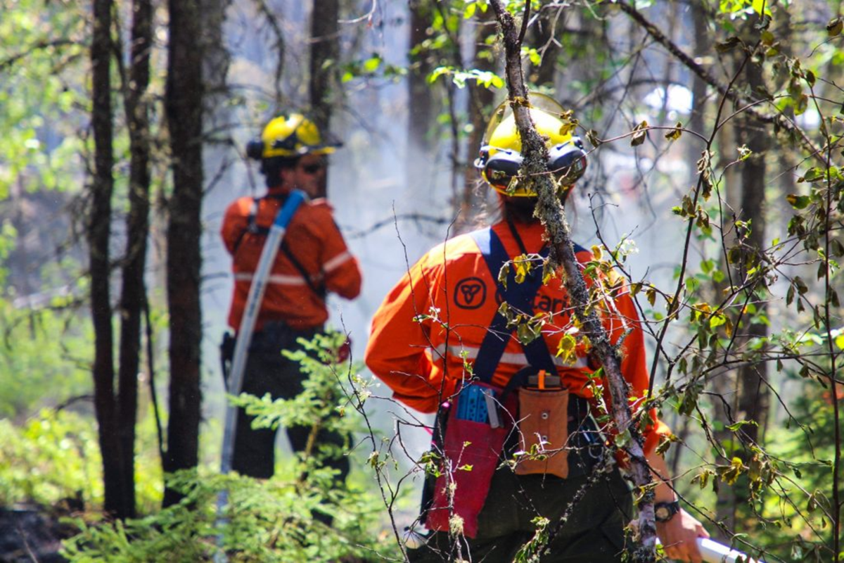 Gogama forest fire under control