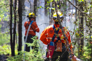 New wildland fires confirmed, but only one still burning