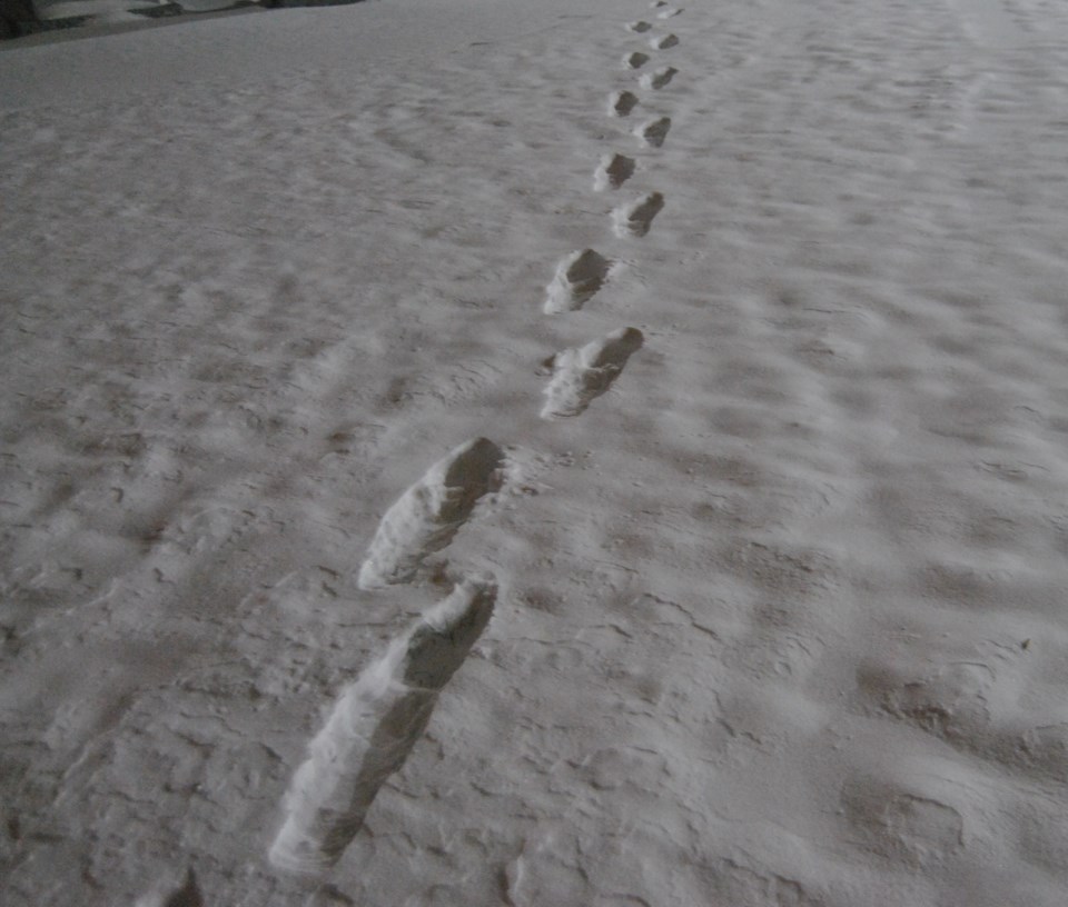 Trodden Snow