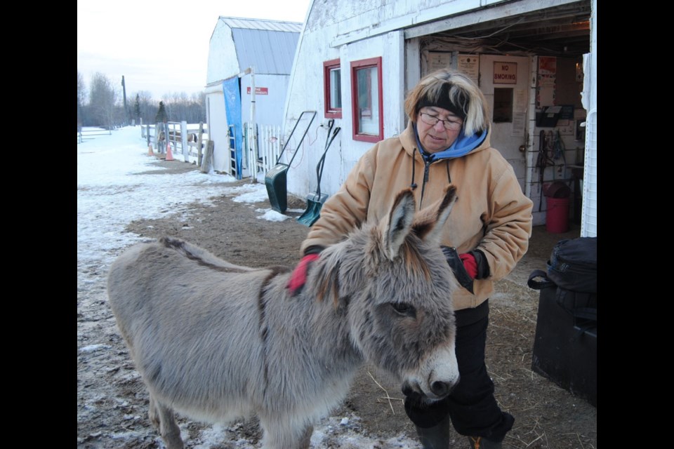 Lydia Dubanow Founder of Timmins Therapy Riding Association and also a riding coach with Chico the Donkey. Photo by Frank Giorno Timminstoday.com staff