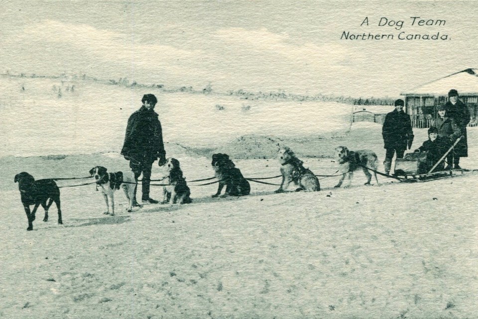 2022-02-25 dog sled