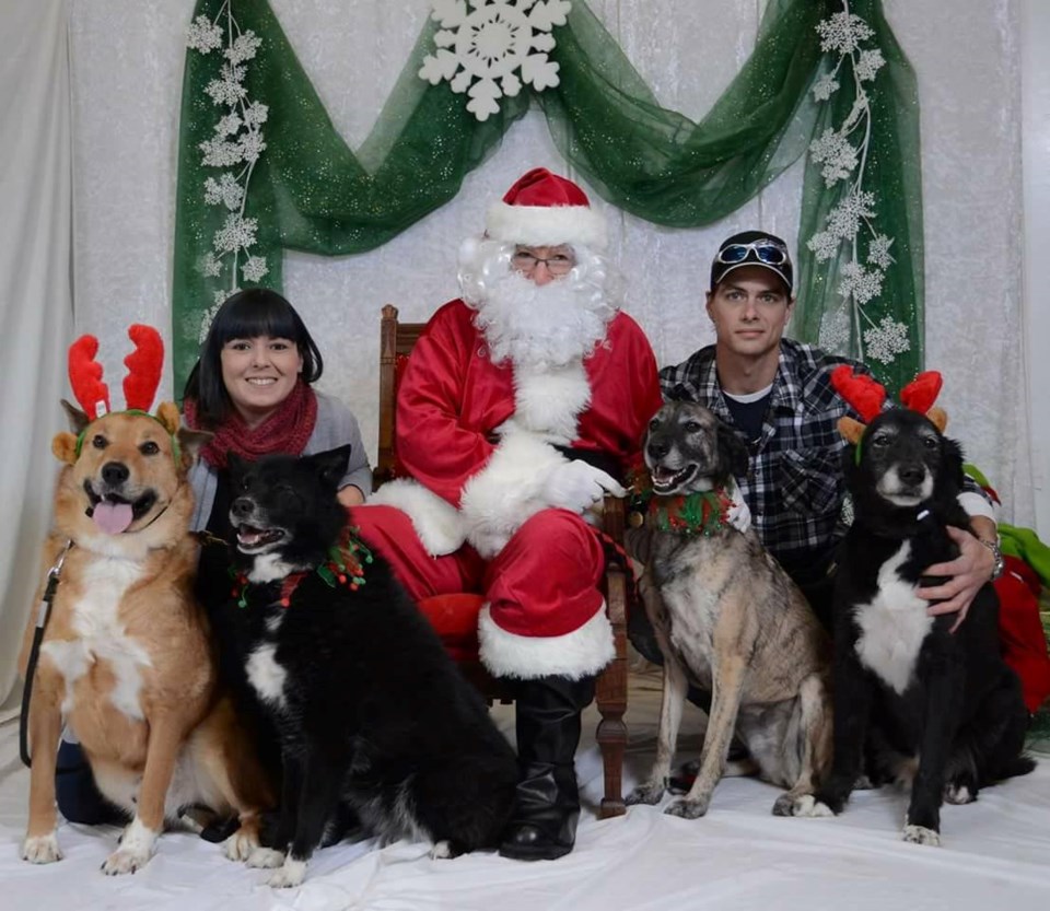 2017-11-22 Pet Pics with Santa SUB