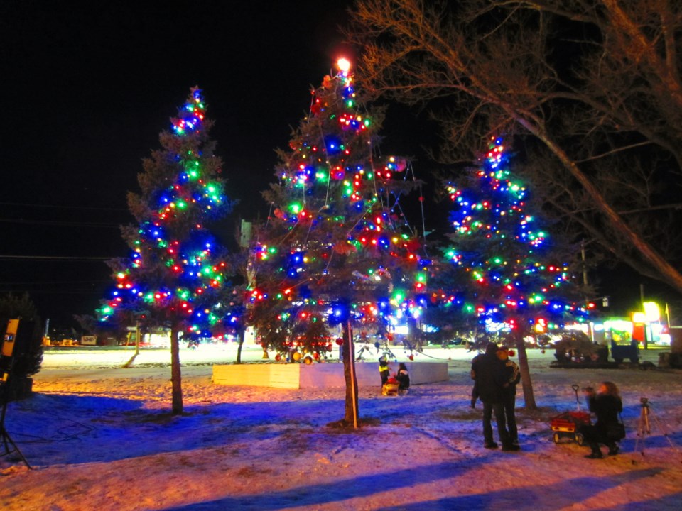 Hollinger Xmas Trees 2015