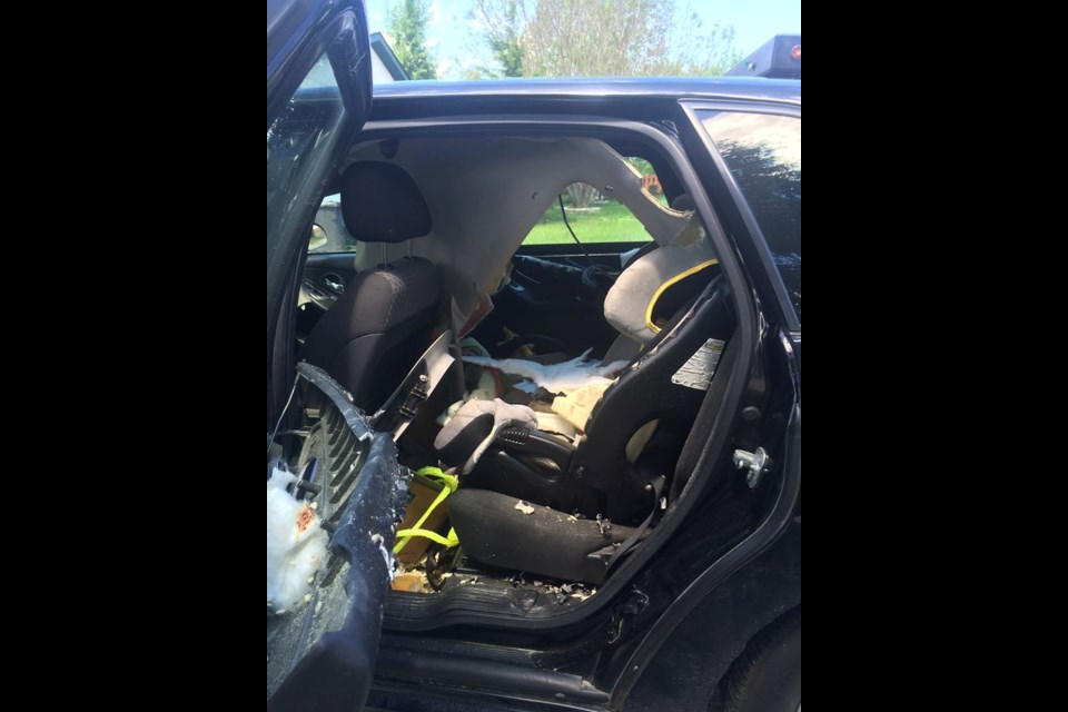 Bear Gets Trapped In Car Timmins Police Have To Get It Out