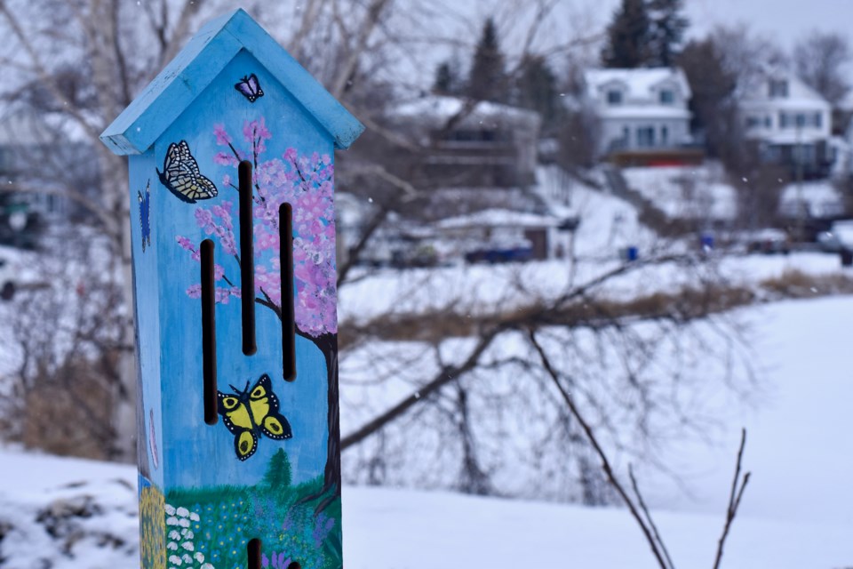 A butterfly house at Gillies Lake after a spring snowfall.