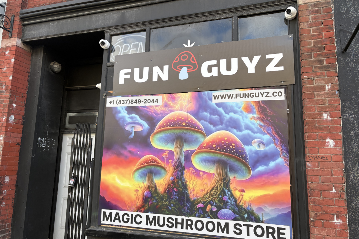 .5M Magic Mushroom Bust: Two Toronto Men Charged