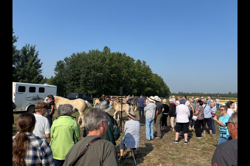The Barrhead County Tour started their day at the Sacred Gypsie Horse breeder on July 17. Photo Supplied.