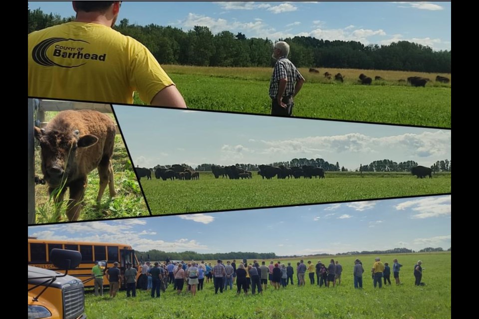 Birch Creek Bison Farms is one of the host locations for Barrhead Open Farm Days tours on August 17