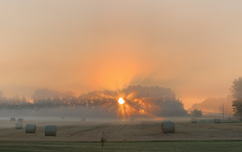 harvestpc