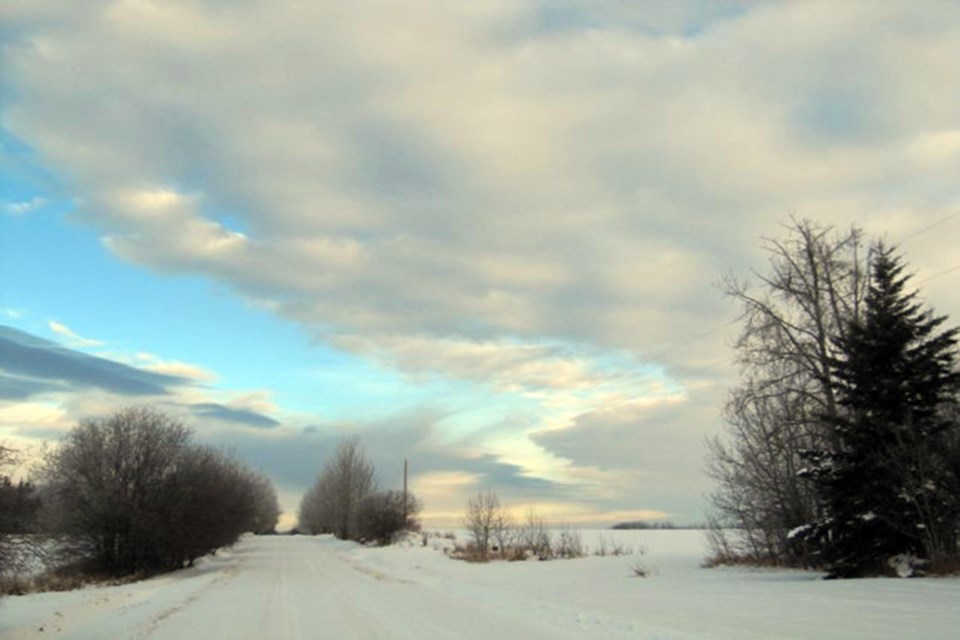 A winter afternoon Arlene Berezowski