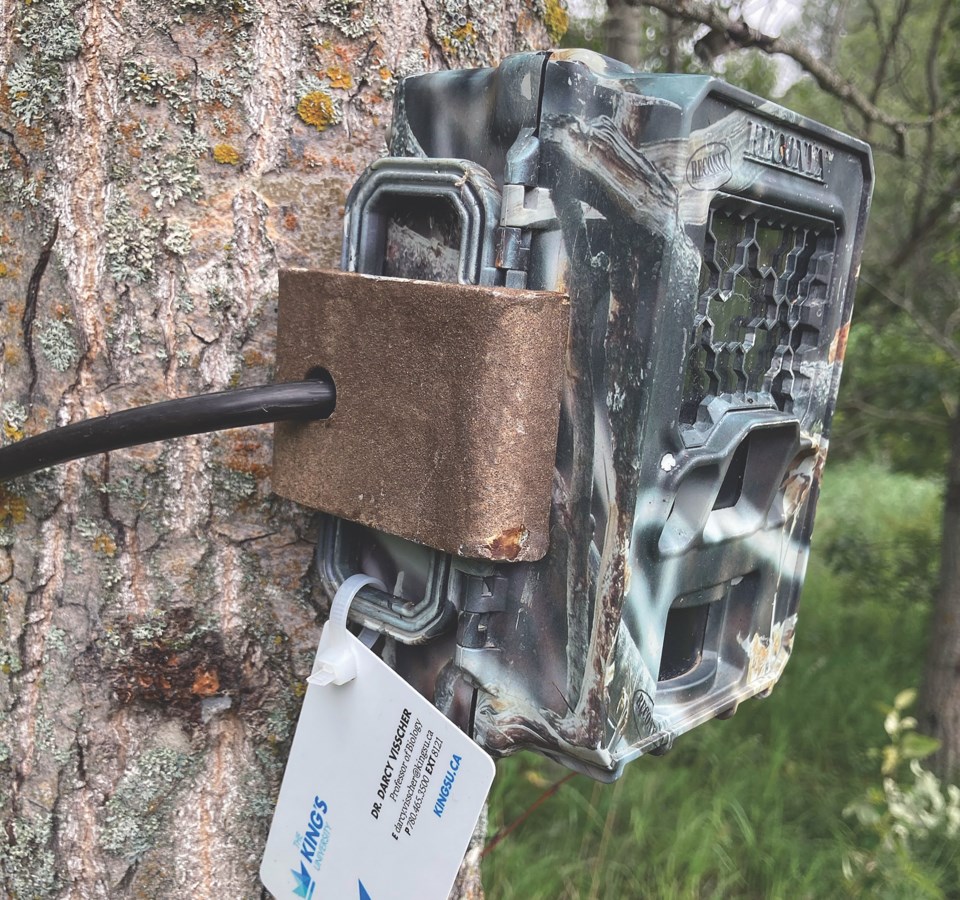 ath-trail-camera-setup