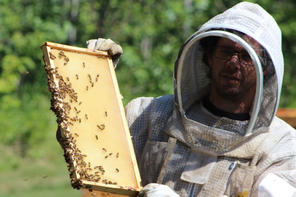 20210728 Beekeeping_Martin Meier_DB_01_WEB