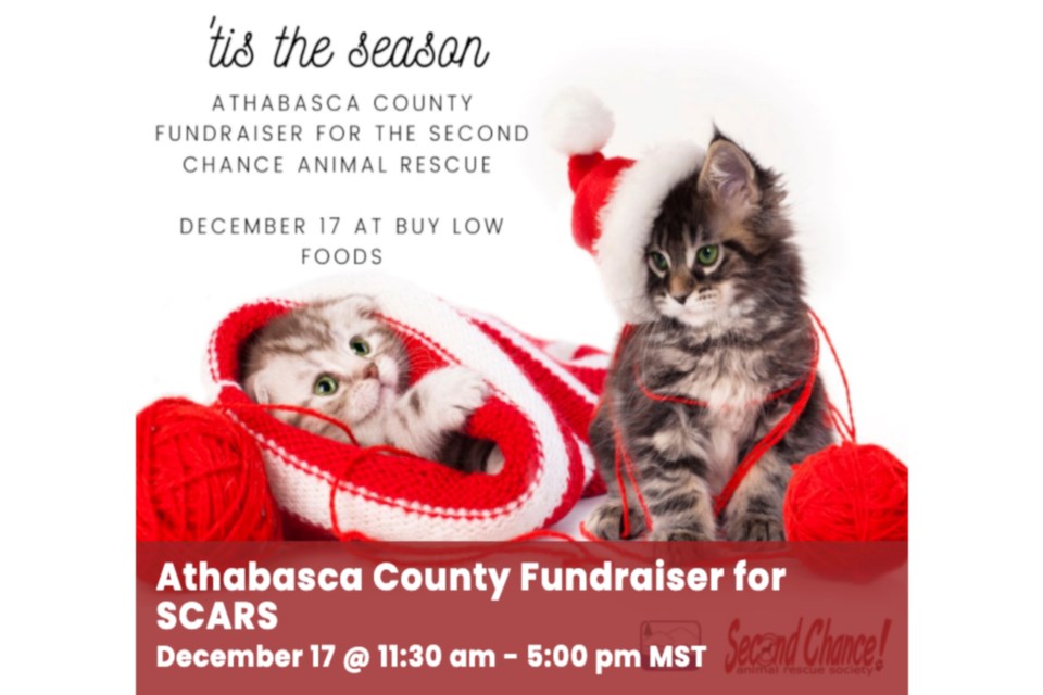 20211210 SCARS County Fundraiser_WEB
