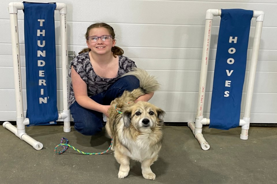 Arianna Smith, nine, joined Thunderin’ Hooves 4-H to take part in the canine project with her eight-year-old Corgi x Australian shepherd dog Peanut. She has enjoyed her first year and plans to return, hopefully doing a feline project and something with her snake. She also has three chinchillas, a fish, one more dog, and three cats. 

Smith was showing off Peanut’s abilities at Skills Day May 10 held at the Athabasca Ag grounds.