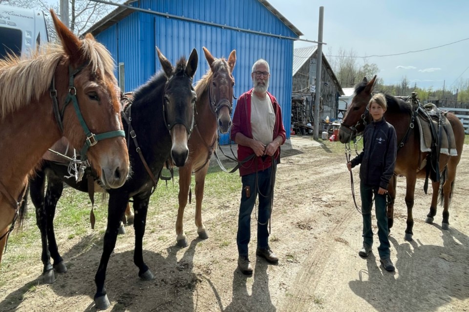 Emile, 72, and Oliver Brager, 11, just returned from taking the mules and Oliver’s horse out for some exercise May 17 before returning to where the mules have been boarding for over two years. In February 2020 Emile boarded his mules with Don and Gail Sissons for two months while he returned to France. That turned into over two years when the world locked down due to the COVID-19 pandemic. 

Brager is now back with his son ready to pick up where he left off in his life-long dream of traveling with his mules, and now son, across North America. 