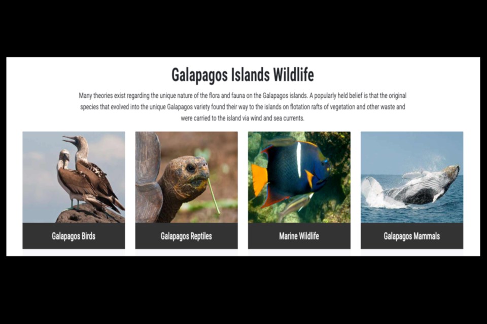 galapagos-travel-centre-screenshot_web