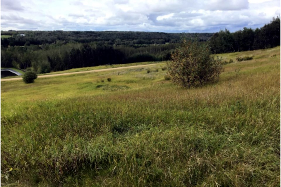 A photo provided in the package by the Rotary club overlooking the proposed toboggan run above the lagoons. In the distance is the Athabasca Waste Management Centre across the river.
Supplied