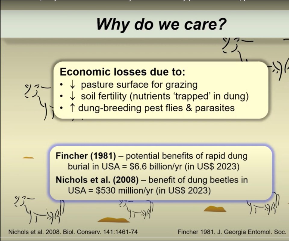 au-so-apr-4-economic-values-of-cattle-dung