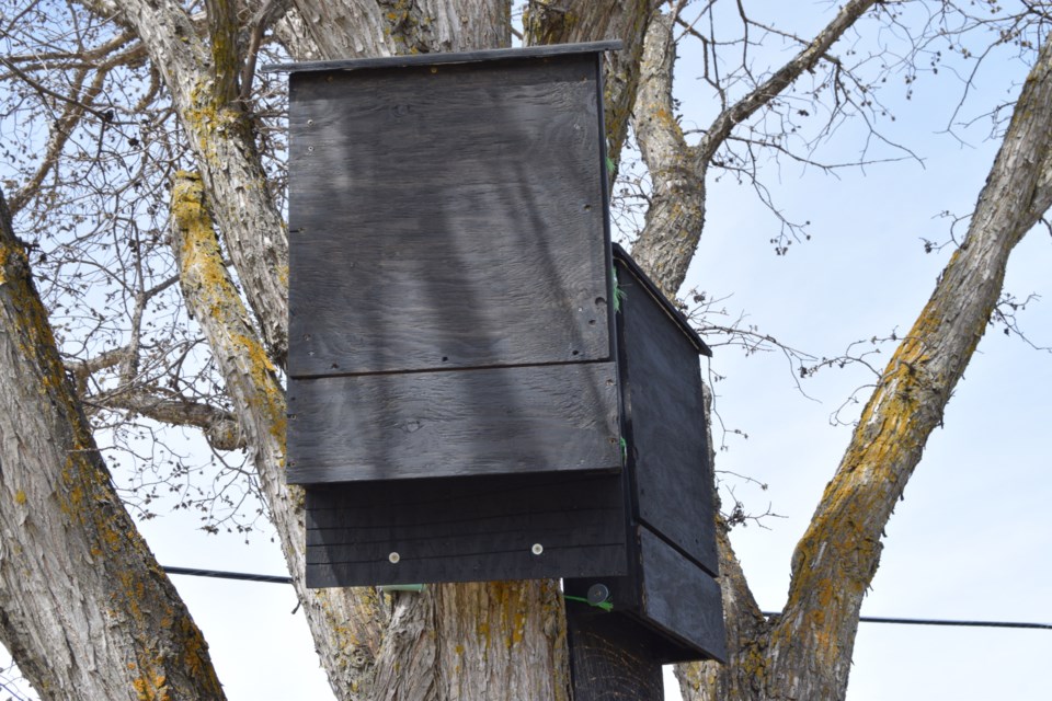 Bat houses copy