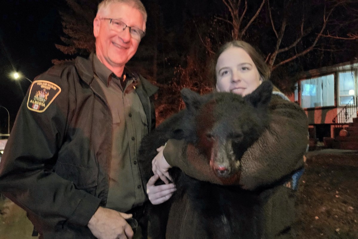 The homeowner says the bear cub was captured on Halloween night