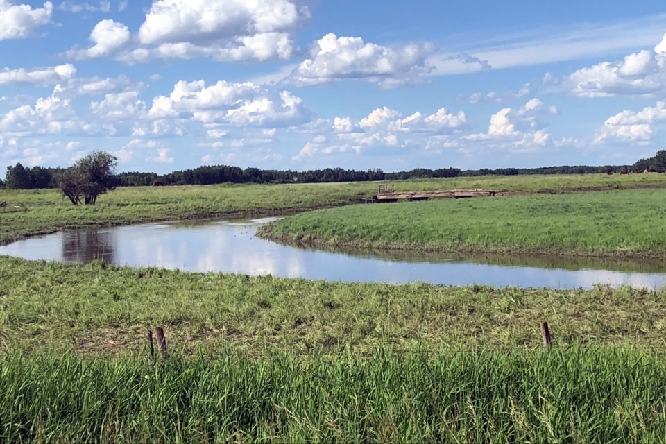 Bend in the crick_PI_01