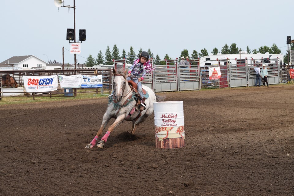 Blue Heron fair days file copy