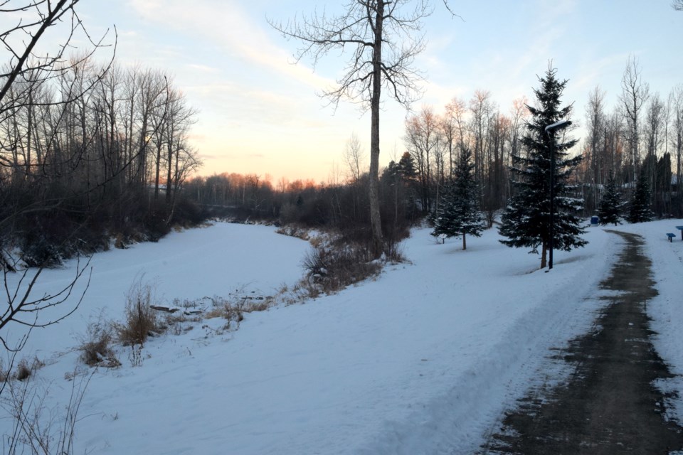 blue-heron-walking-trail-jan-26-copy