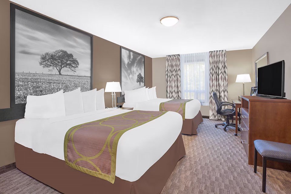 12093_guest_room_6