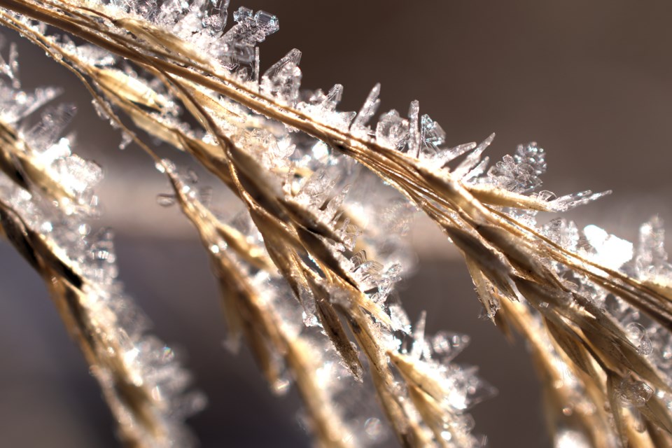 Camp Creek ice frost Barry Kerton