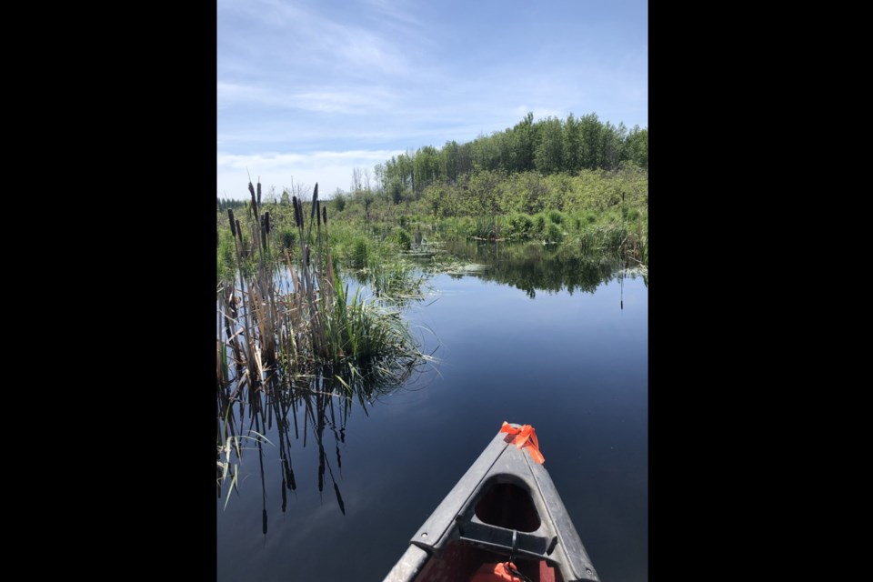 Canoeing Lyle Lake Stacey StJean